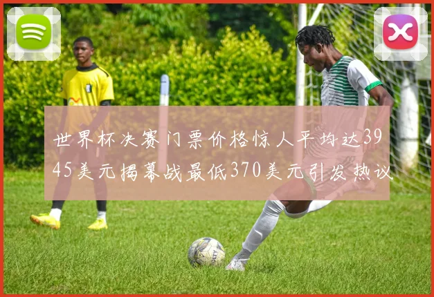 世界杯决赛门票价格惊人平均达3945美元揭幕战最低370美元引发热议